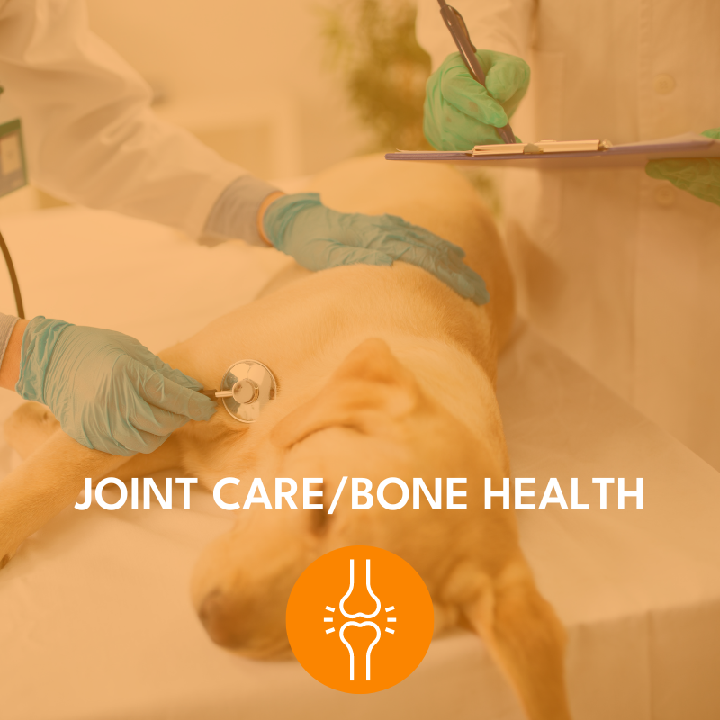 Neo Kumfurt Solutions Home